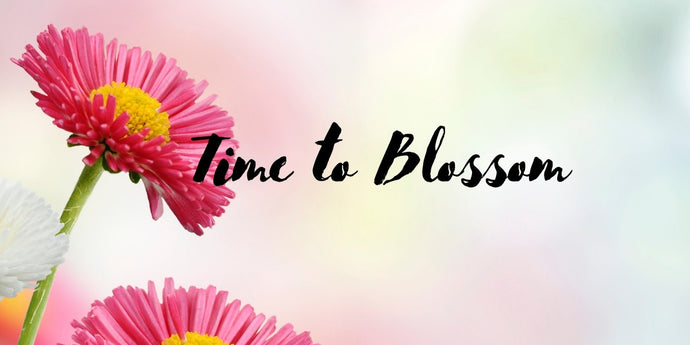 Time to Blossom - Best of Spring Season 2022