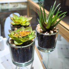 Load image into Gallery viewer, Opalicious Ring